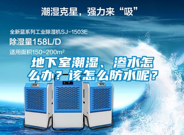 地下室潮濕、滲水怎么辦？該怎么防水呢？
