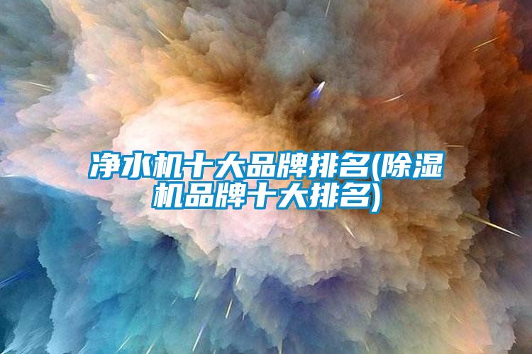 凈水機(jī)十大品牌排名(除濕機(jī)品牌十大排名)