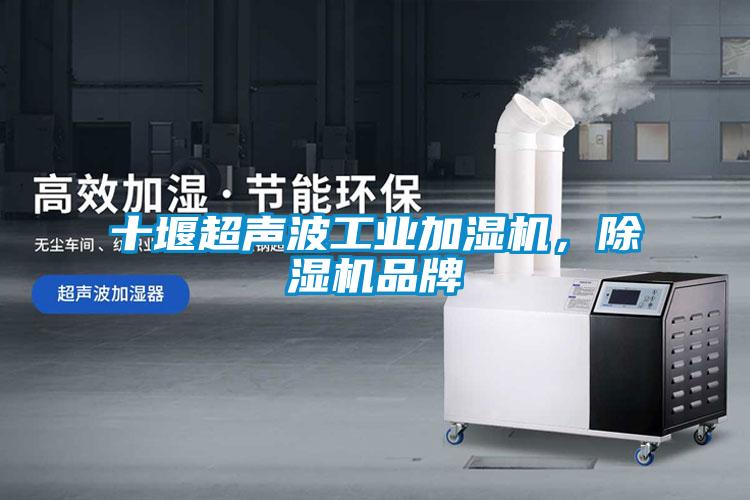 十堰超聲波工業(yè)加濕機，除濕機品牌