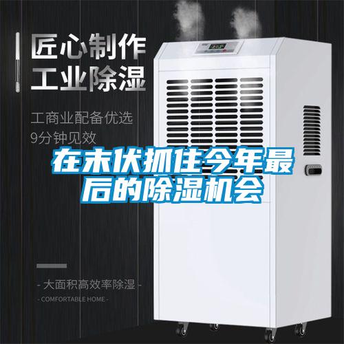 在末伏抓住今年最后的除濕機(jī)會(huì)