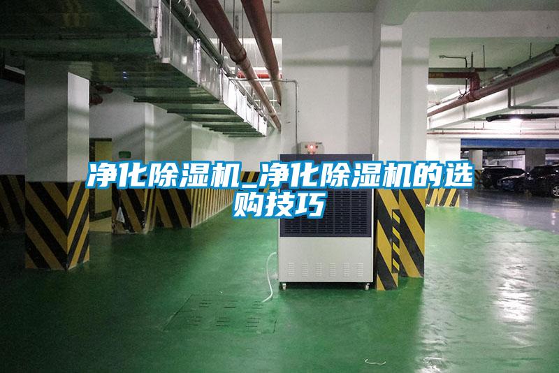 凈化除濕機(jī)_凈化除濕機(jī)的選購技巧