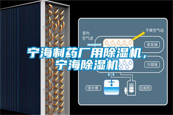 寧海制藥廠用除濕機(jī)，寧海除濕機(jī)