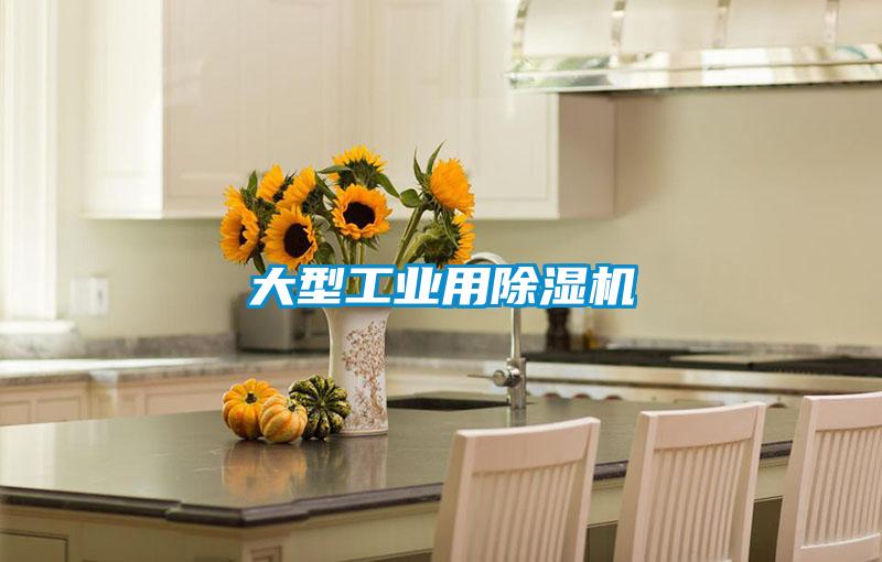 大型工業(yè)用除濕機