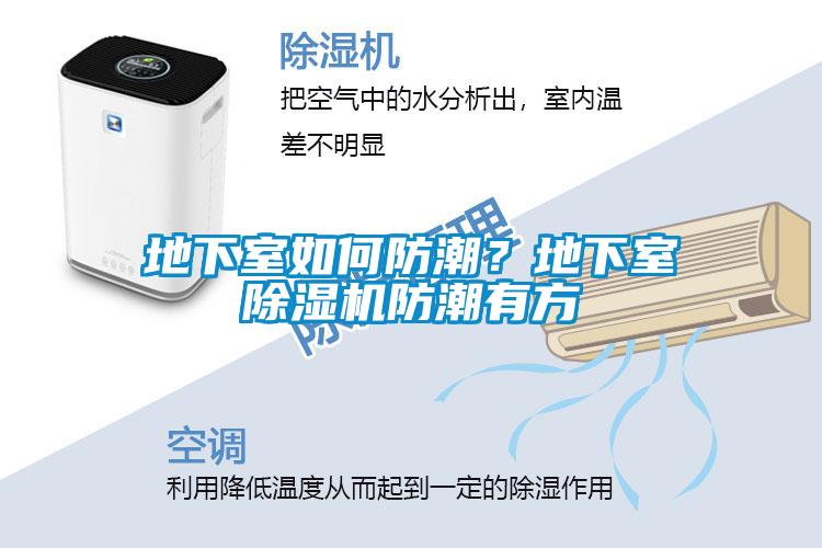 地下室如何防潮？地下室除濕機防潮有方