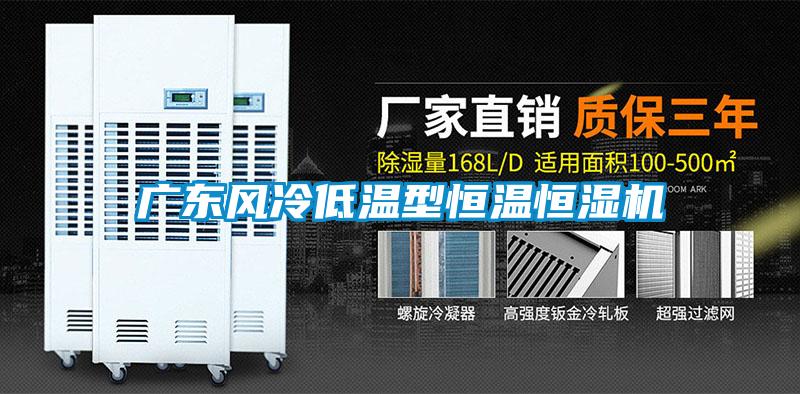 廣東風(fēng)冷低溫型恒溫恒濕機(jī)