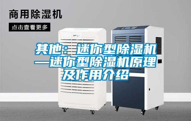 其他：迷你型除濕機(jī)—迷你型除濕機(jī)原理及作用介紹