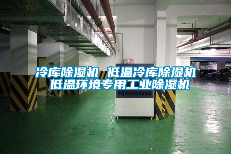 冷庫除濕機 低溫冷庫除濕機 低溫環(huán)境專用工業(yè)除濕機