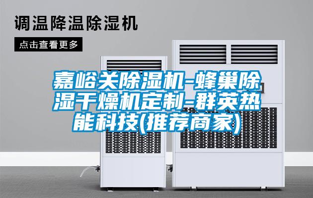 嘉峪關(guān)除濕機(jī)-蜂巢除濕干燥機(jī)定制-群英熱能科技(推薦商家)