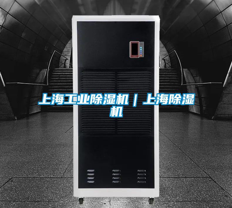 上海工業(yè)除濕機｜上海除濕機