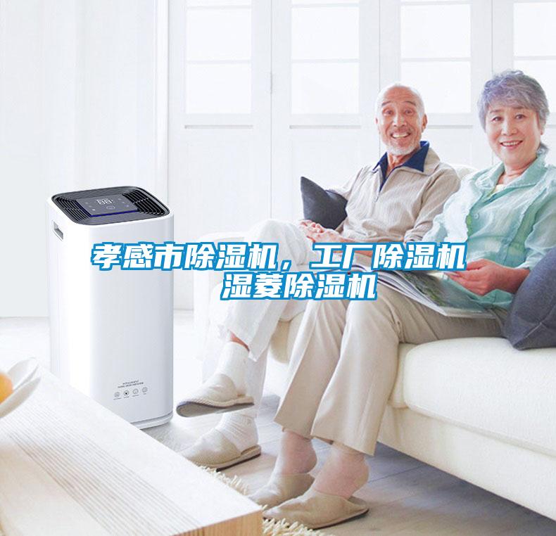孝感市除濕機(jī)，工廠除濕機(jī)  濕菱除濕機(jī)