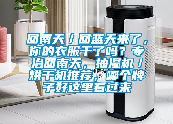 回南天／回藍(lán)天來(lái)了，你的衣服干了嗎？專治回南天，抽濕機(jī)／烘干機(jī)推薦，哪個(gè)牌子好這里看過(guò)來(lái)