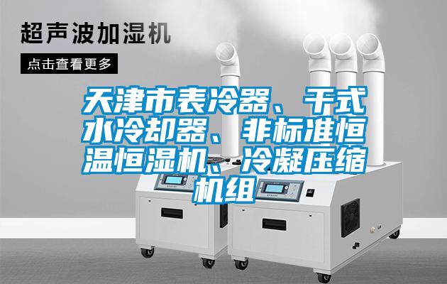 天津市表冷器、干式水冷卻器、非標準恒溫恒濕機、冷凝壓縮機組