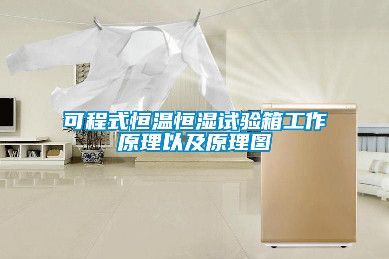 可程式恒溫恒濕試驗(yàn)箱工作原理以及原理圖