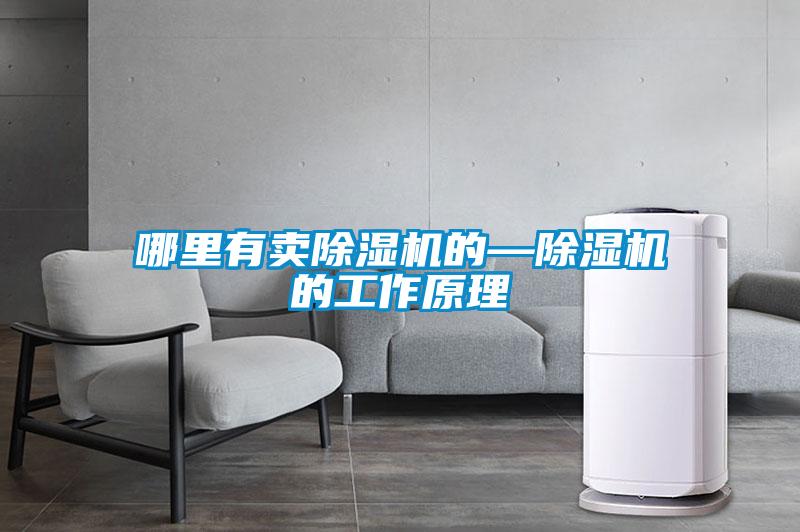哪里有賣除濕機的—除濕機的工作原理