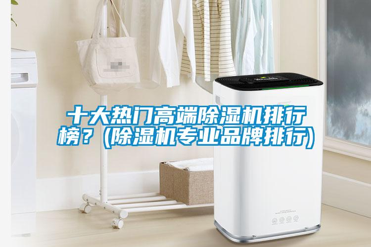 十大熱門(mén)高端除濕機(jī)排行榜？(除濕機(jī)專(zhuān)業(yè)品牌排行)
