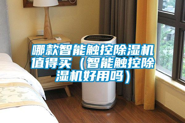 哪款智能觸控除濕機值得買（智能觸控除濕機好用嗎）