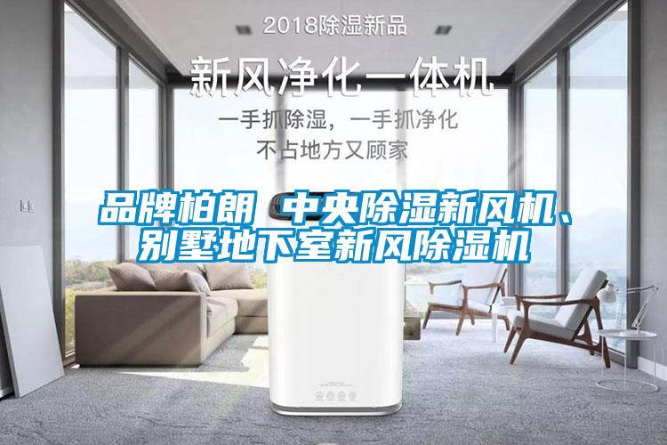品牌柏朗 中央除濕新風(fēng)機(jī)、別墅地下室新風(fēng)除濕機(jī)