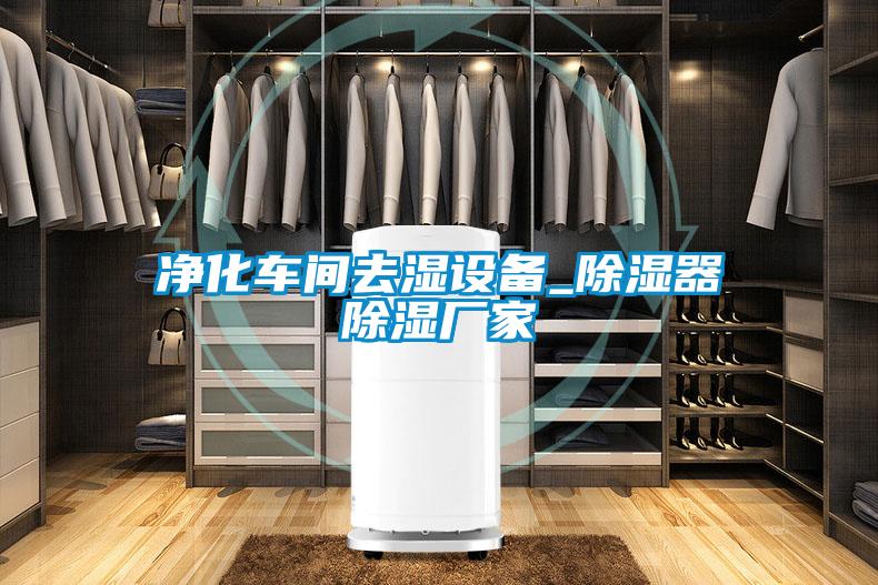 凈化車間去濕設(shè)備_除濕器除濕廠家