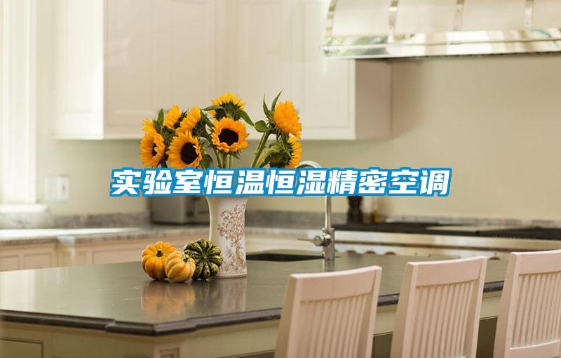 實驗室恒溫恒濕精密空調(diào)