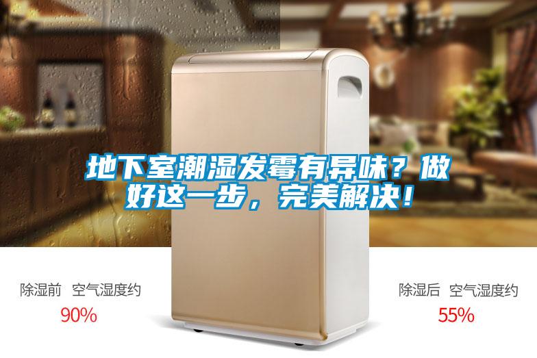 地下室潮濕發(fā)霉有異味？做好這一步，完美解決！