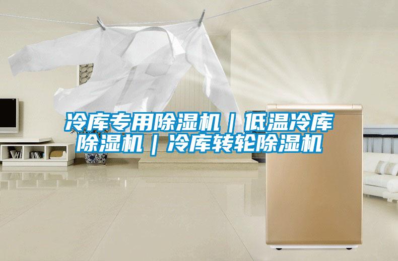 冷庫專用除濕機｜低溫冷庫除濕機｜冷庫轉(zhuǎn)輪除濕機
