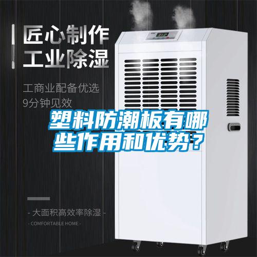塑料防潮板有哪些作用和優(yōu)勢？