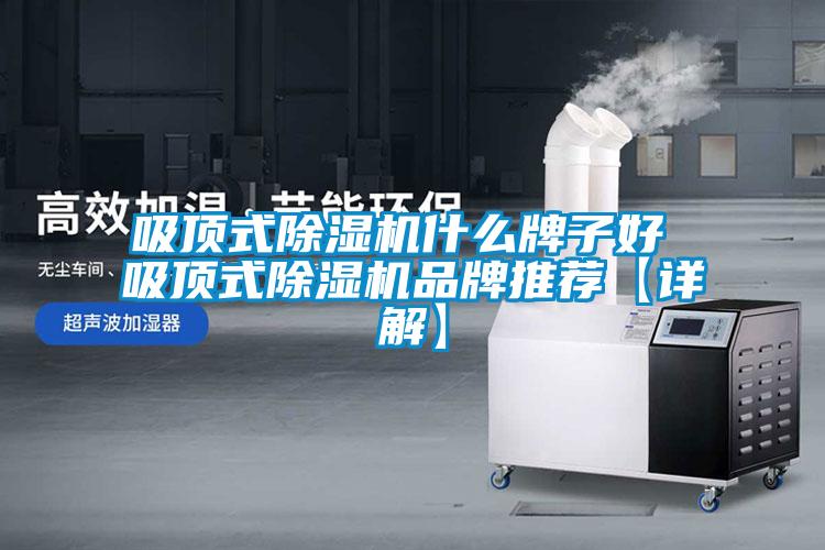 吸頂式除濕機(jī)什么牌子好 吸頂式除濕機(jī)品牌推薦【詳解】
