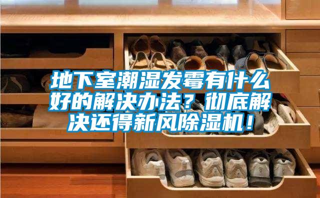 地下室潮濕發(fā)霉有什么好的解決辦法？徹底解決還得新風(fēng)除濕機(jī)！