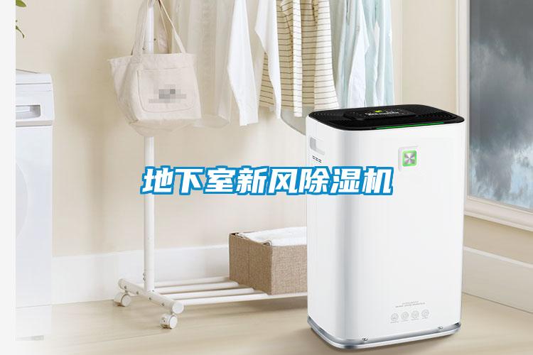 地下室新風(fēng)除濕機(jī)