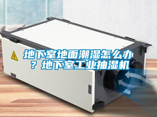 地下室地面潮濕怎么辦？地下室工業(yè)抽濕機