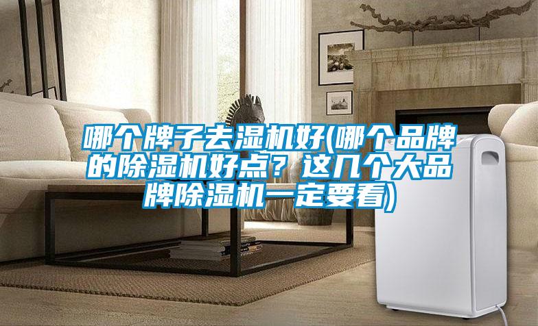 哪個牌子去濕機好(哪個品牌的除濕機好點？這幾個大品牌除濕機一定要看)