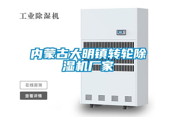 內(nèi)蒙古大明鎮(zhèn)轉輪除濕機廠家