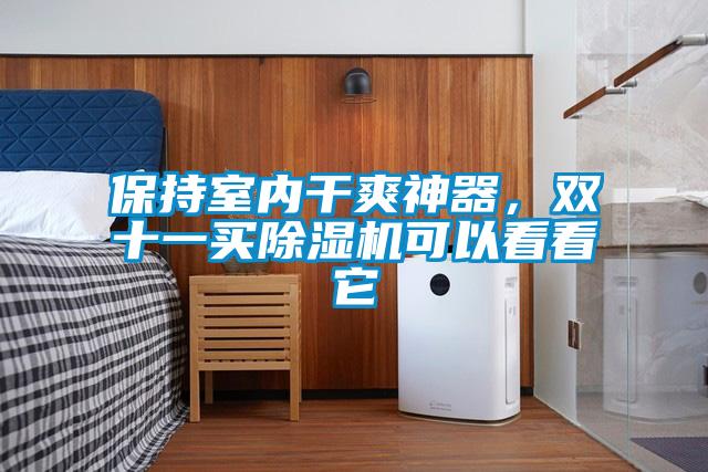 保持室內干爽神器，雙十一買除濕機可以看看它