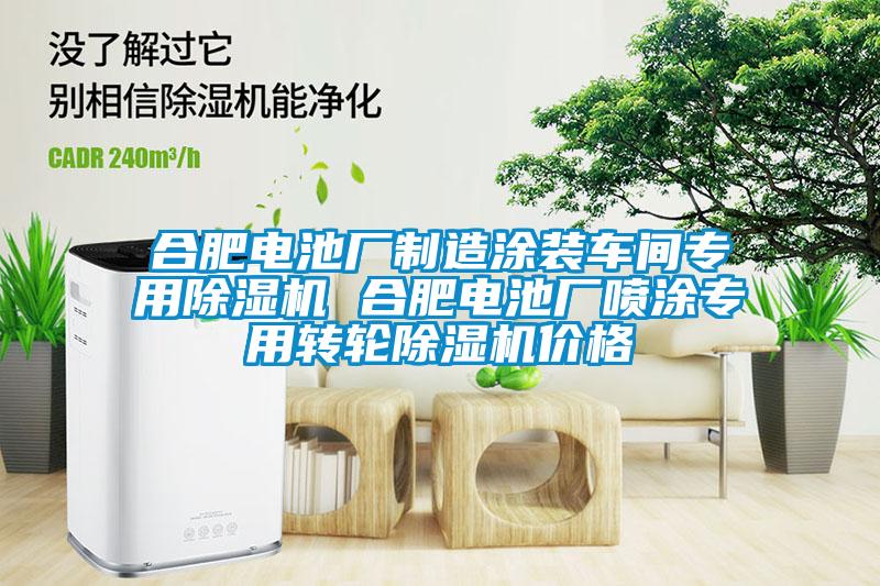 合肥電池廠制造涂裝車間專用除濕機(jī) 合肥電池廠噴涂專用轉(zhuǎn)輪除濕機(jī)價(jià)格