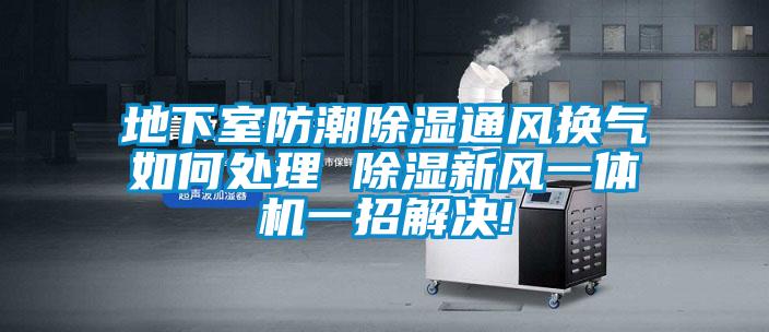 地下室防潮除濕通風(fēng)換氣如何處理 除濕新風(fēng)一體機(jī)一招解決!
