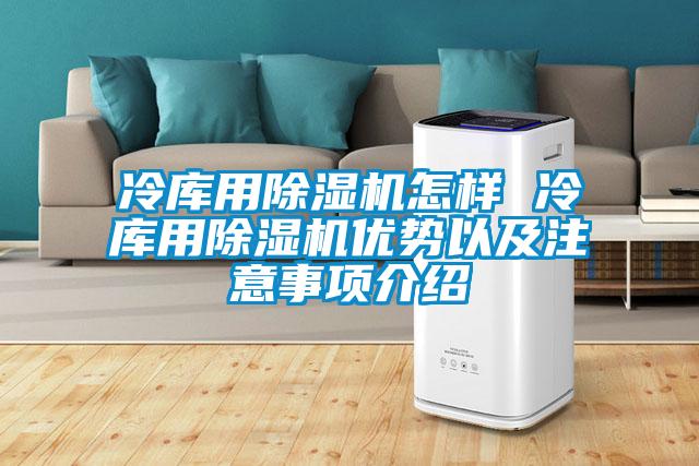 冷庫用除濕機怎樣 冷庫用除濕機優(yōu)勢以及注意事項介紹