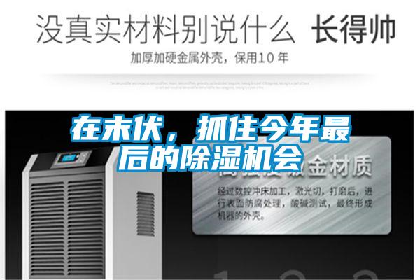 在末伏，抓住今年最后的除濕機(jī)會(huì)