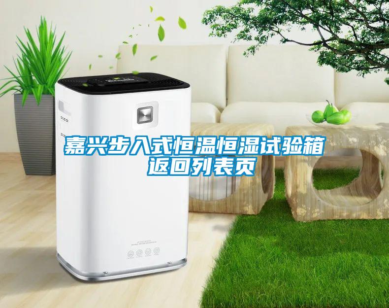 嘉興步入式恒溫恒濕試驗(yàn)箱 返回列表頁