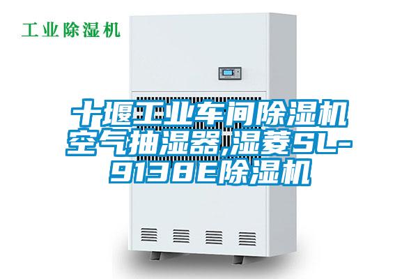 十堰工業(yè)車間除濕機空氣抽濕器,濕菱SL-9138E除濕機