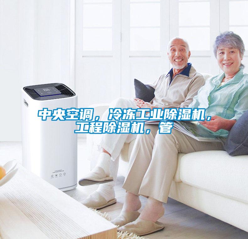 中央空調，冷凍工業(yè)除濕機，工程除濕機，管