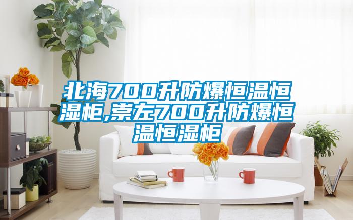 北海700升防爆恒溫恒濕柜,崇左700升防爆恒溫恒濕柜