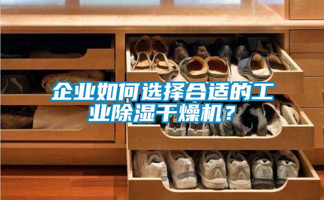 企業(yè)如何選擇合適的工業(yè)除濕干燥機(jī)？