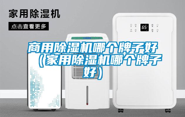 商用除濕機(jī)哪個(gè)牌子好（家用除濕機(jī)哪個(gè)牌子好）