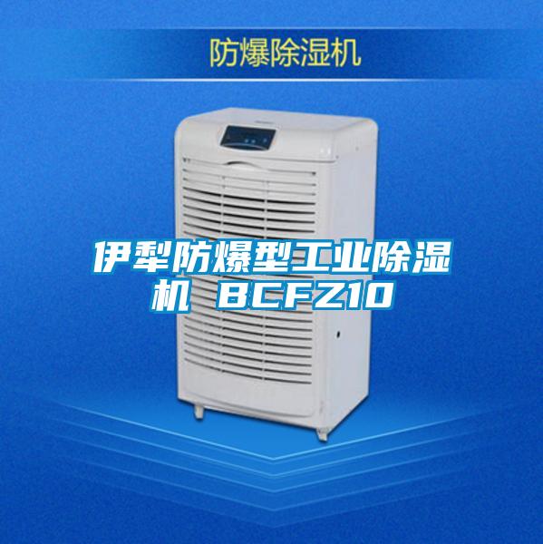 伊犁防爆型工業(yè)除濕機 BCFZ10