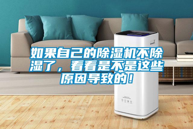 如果自己的除濕機不除濕了，看看是不是這些原因?qū)е碌模?></div>
								<div   id=