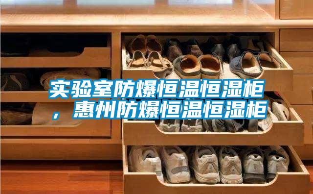 實驗室防爆恒溫恒濕柜，惠州防爆恒溫恒濕柜