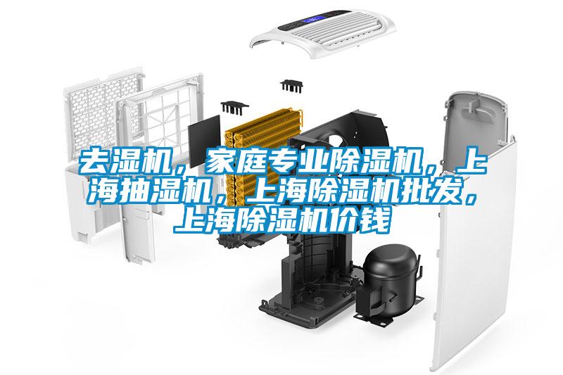 去濕機，家庭專業(yè)除濕機，上海抽濕機，上海除濕機批發(fā)，上海除濕機價錢