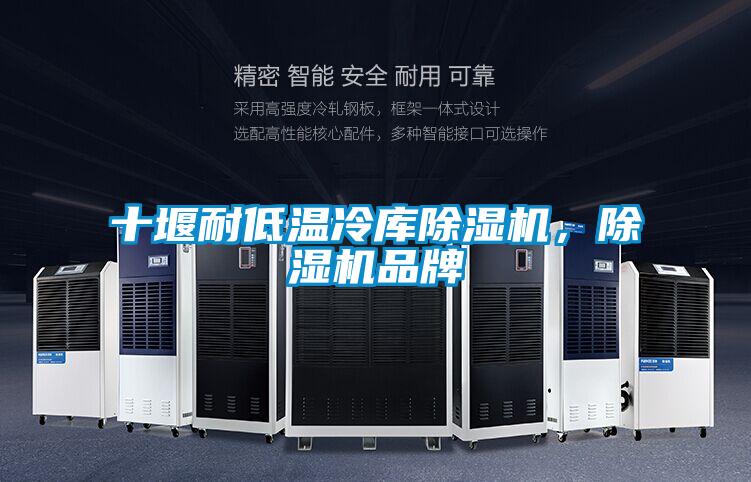 十堰耐低溫冷庫(kù)除濕機(jī)，除濕機(jī)品牌