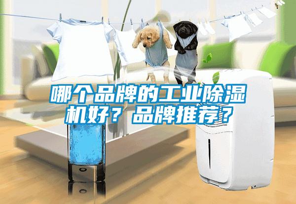 哪個品牌的工業(yè)除濕機好？品牌推薦？