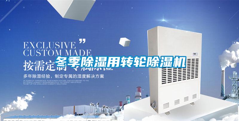 冬季除濕用轉(zhuǎn)輪除濕機
